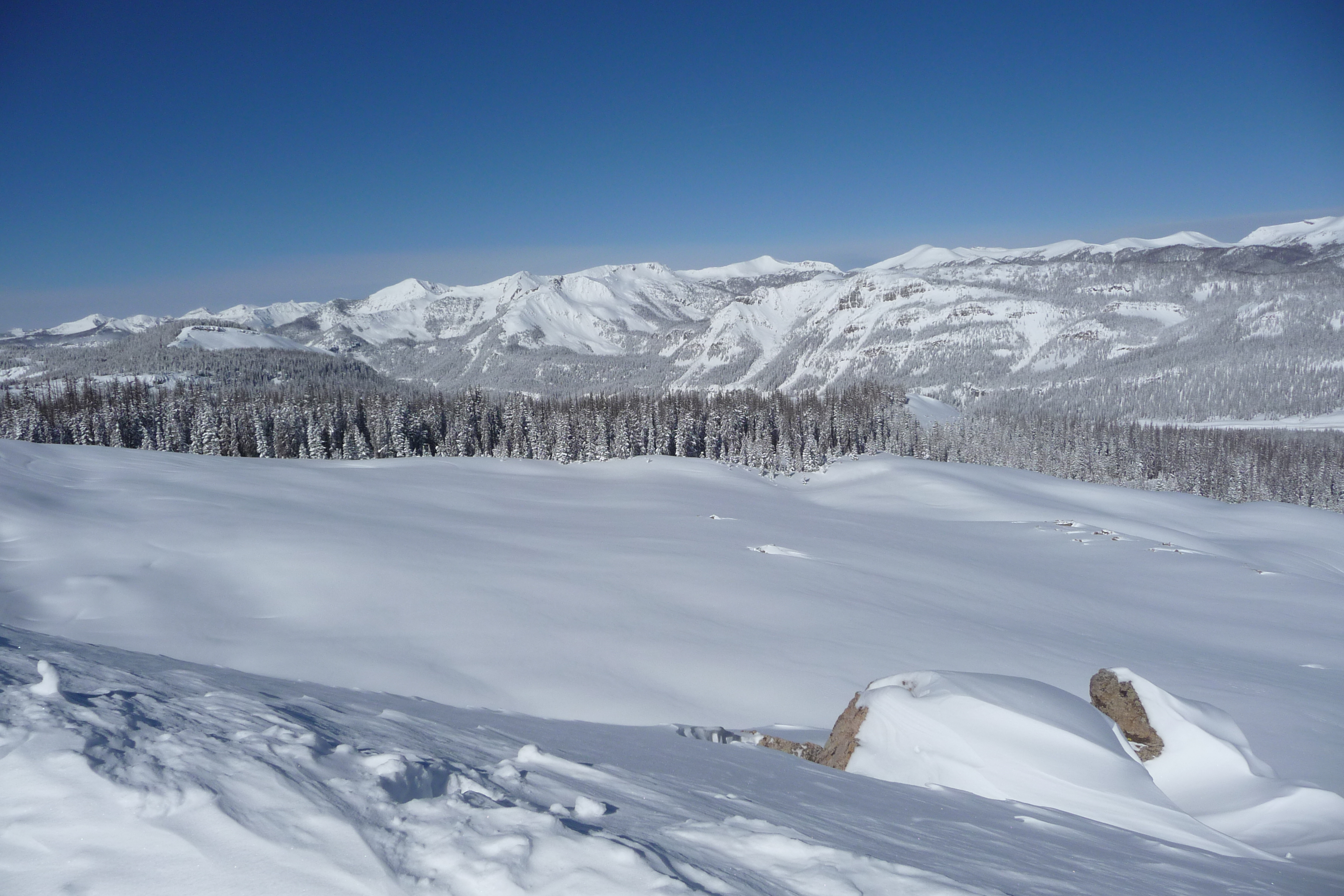 Gray Wolf Ski Club | Serving The Seniors Of The San Juans